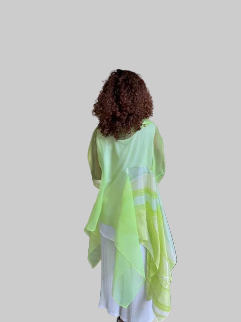 Dth Organza In Lime Green With Hand Painted Inserts