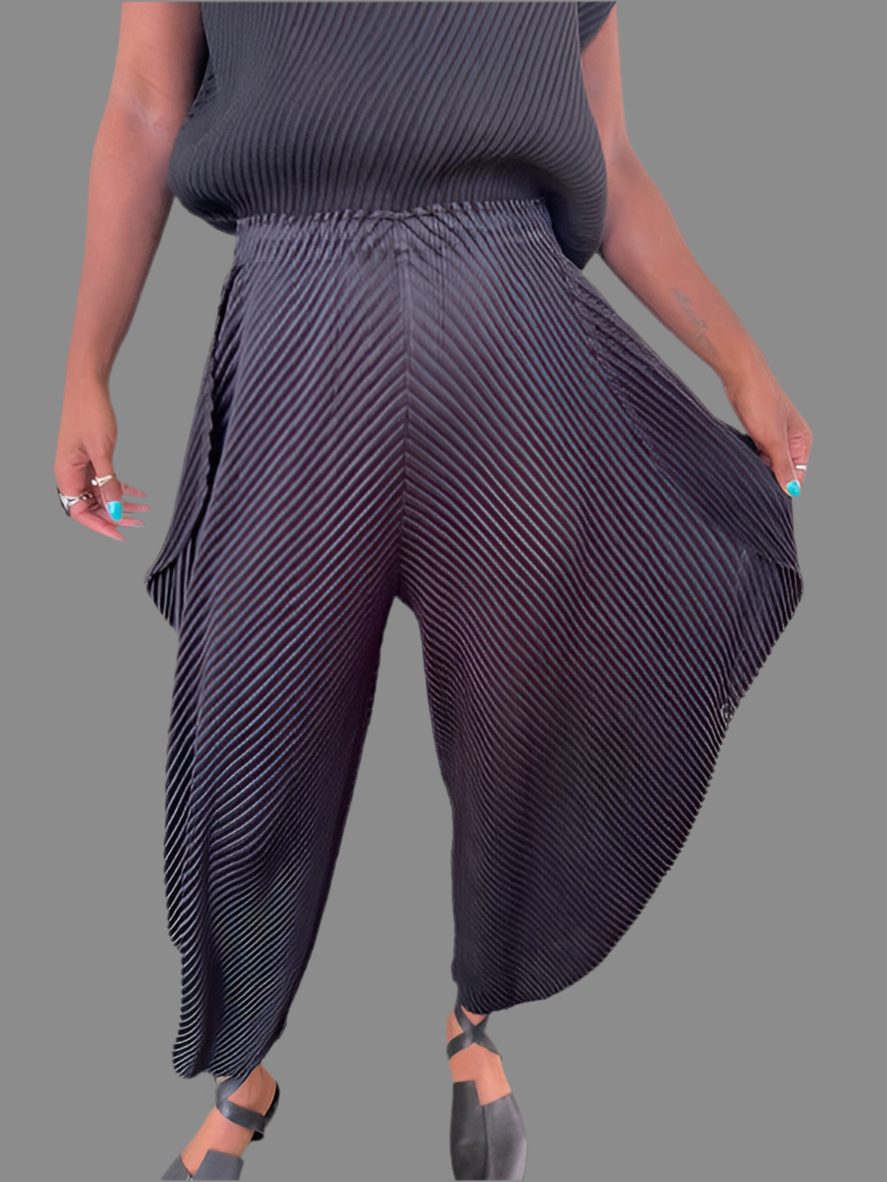 Vanite Pleats Side Flap Pants