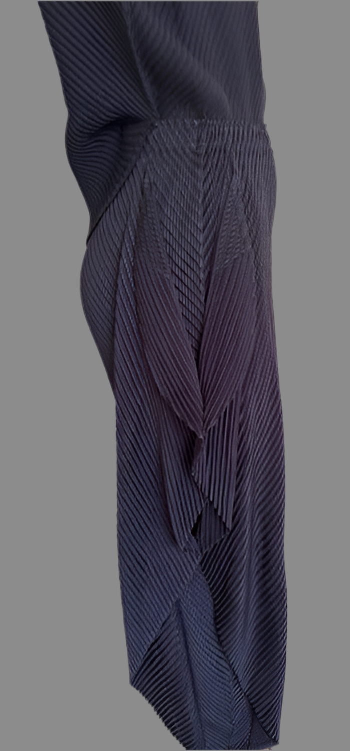 Vanite Pleats Side Flap Pants