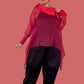 Dth Red Organza Top with Silk Collar