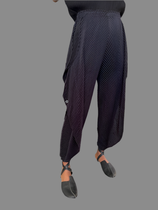 Vanite Pleats Side Flap Pants