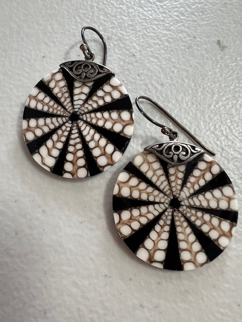 Shell earrings