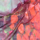 Still Life Wool Scarf